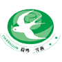 正文适合核对表述